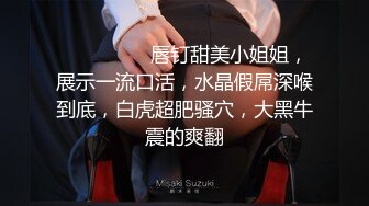 SWAG 粉丝许愿又又又想看我上厕所 Minicat