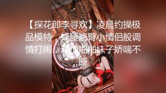 【探花郎李寻欢】凌晨约操极品模特，蜂腰翘臀小情侣般调情打闹，激情啪啪妹子娇喘不断