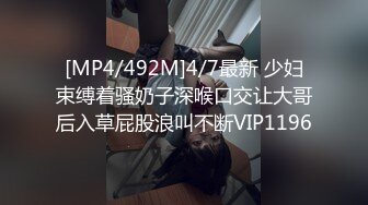 蜜桃传媒PMX046空姐-白允儿