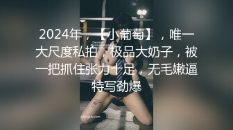 [MP4/303M]2/2最新 女主表情骚气被哥哥强力输出拉手后入操逼VIP1196