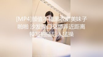 女仆装女奴的散鞭伺候