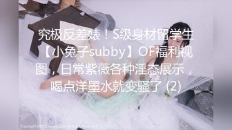 究极反差婊！S级身材留学生【小兔子subby】OF福利视图，日常紫薇各种淫态展示，喝点洋墨水就变骚了 (2)