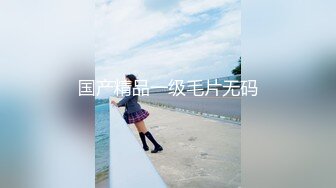 【果冻传媒】再遇班花十年前暗恋你十年后操翻你-王美琪