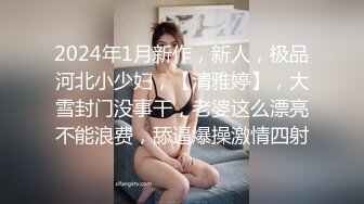 国产AV 天美传媒 TM0142 欲求不满大儿媳 虞姬