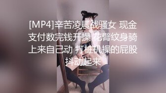 【好片推荐】小偷撬门发现房主在家