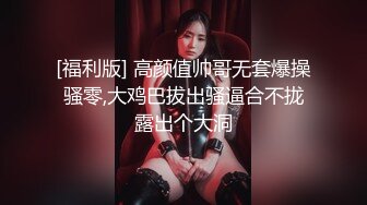 起点传媒 xsjtc-14 快递小哥遇上器张女顾客-宋雨川