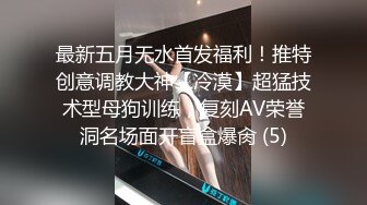 高冷vs反差女神来袭~国内三大维密模特奚梦瑶、刘雯、何穗刺激透视凸点裸身走秀视图