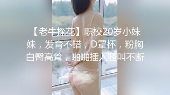 RAS0368 皇家华人 偷腥巨乳女友闺密 女优酒后挑逗吸精 姚宛儿