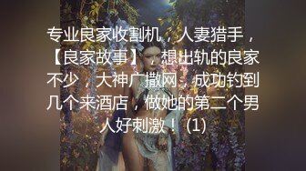 严选.欧美SM带剧情各大片商收集高清合集.下【27V】 (4)