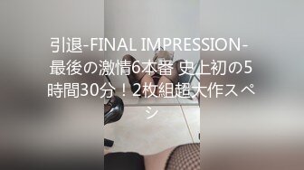 引退-FINAL IMPRESSION- 最後の激情6本番 史上初の5時間30分！2枚組超大作スペシ