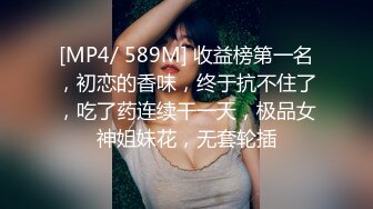 女仆装女奴的散鞭伺候