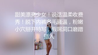 [MP4]STP28789 绿播女神~顶级颜值【做你意中人】简直美到犯规！！录了很久，精挑细选多场密码房~！ VIP0600