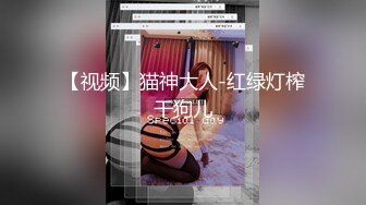 【视频】猫神大人-红绿灯榨干狗儿