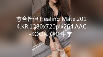 愈合伴侣.Healing Mate.2014.KR.1280x720p.x264.AAC-KOOK.[韩语中字]