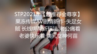 STP20218 【超推荐会尊享】果冻传媒AV剧情新作-失足女贼 长线绑屌新玩法 老公痛着 老婆快乐着 美乳女神何苗