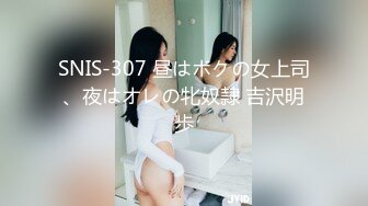 SNIS-307 昼はボクの女上司、夜はオレの牝奴隷 吉沢明歩