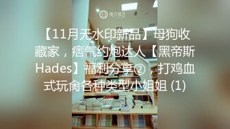 【11月无水印新品】母狗收藏家，痞气约炮达人【黑帝斯Hades】福利分享②，打鸡血式玩肏各种类型小姐姐 (1)