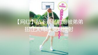 MDX-0233.寻小小.骑乐无穷圣诞夜.麋鹿少女的情趣游戏.麻豆传媒映画