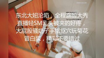 麻豆传媒 MDHT-0014《奇淫旅馆》夏日淫欲费洛蒙