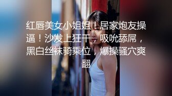 【AI换脸视频】刘亦菲 拳交拳拳到肉