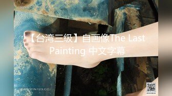 【台湾三级】自画像The Last Painting 中文字幕