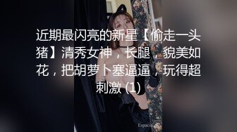 近期最闪亮的新星【偷走一头猪】清秀女神，长腿，貌美如花，把胡萝卜塞逼逼，玩得超刺激 (1)