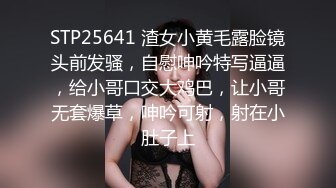 良家少妇 好久没抱你了 我还要洗衣服墨迹半天 不想跟你玩 身材丰满洗完澡做个面膜 上床就开操 被无套