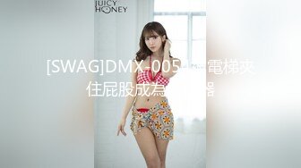 爱豆传媒 ID-5383 偷心女盗的完美性任务