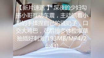 密友.第二十集.精东影业