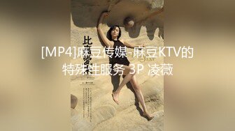 [MP4]麻豆传媒-麻豆KTV的特殊性服务 3P 凌薇