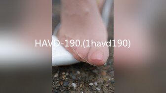 HAVD-190.(1havd190)