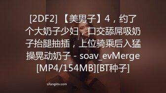 [2DF2] 【美男子】4，约了个大奶子少妇，口交舔屌吸奶子抬腿抽插，上位骑乘后入猛操晃动奶子 - soav_evMerge[MP4/154MB][BT种子]