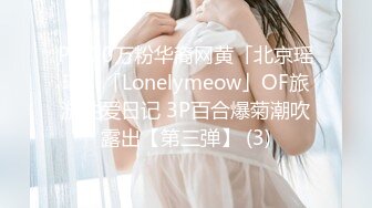 P站20万粉华裔网黄「北京瑶瑶」「Lonelymeow」OF旅游性爱日记 3P百合爆菊潮吹露出【第三弹】 (3)