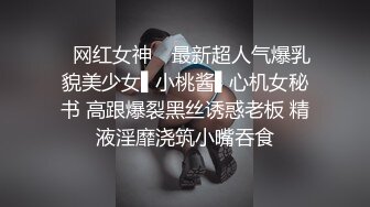 极品女友镜子前被干